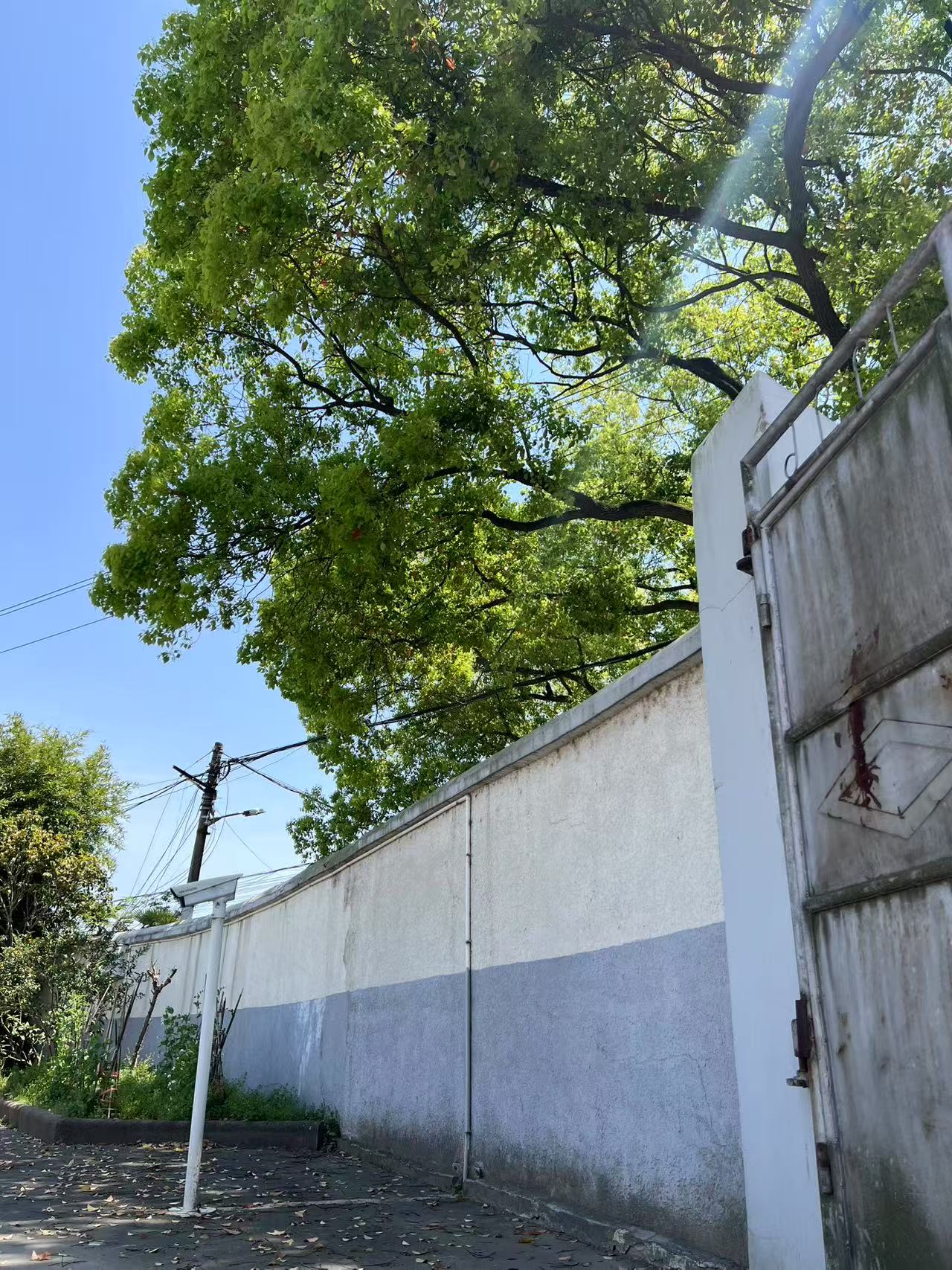 41af7ecdabbe99649561beb753fca5c.jpg 41af7ecdabbe99649561beb753fca5c.jpg